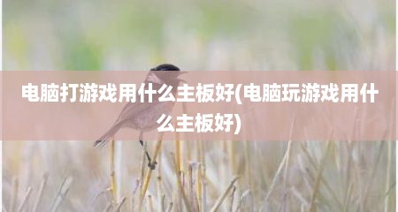 电脑打游戏用什么主板好(电脑玩游戏用什么主板好)