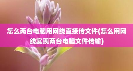 怎么两台电脑用网线直接传文件(怎么用网线实现两台电脑文件传输)