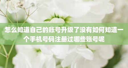 怎么知道自己的账号升级了没有如何知道一个手机号码注册过哪些账号呢
