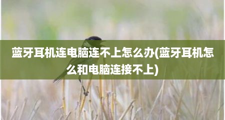 蓝牙耳机连电脑连不上怎么办(蓝牙耳机怎么和电脑连接不上)