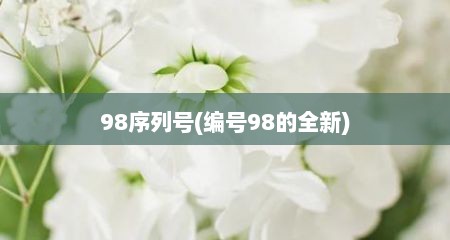 98序列号(编号98的全新)