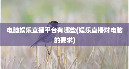 电脑娱乐直播平台有哪些(娱乐直播对电脑的要求)