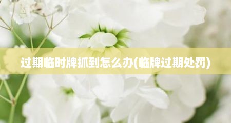 过期临时牌抓到怎么办(临牌过期处罚)