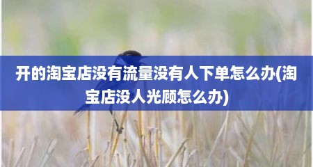 开的淘宝店没有流量没有人下单怎么办(淘宝店没人光顾怎么办)