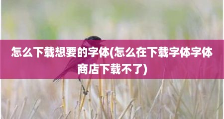 怎么下载想要的字体(怎么在下载字体字体商店下载不了)