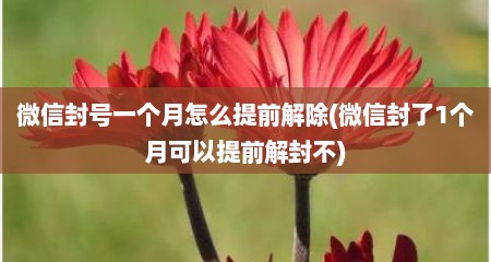 微信封号一个月怎么提前解除(微信封了1个月可以提前解封不)
