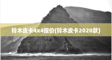 铃木皮卡4x4报价(铃木皮卡2020款)