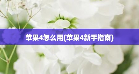 苹果4怎么用(苹果4新手指南)