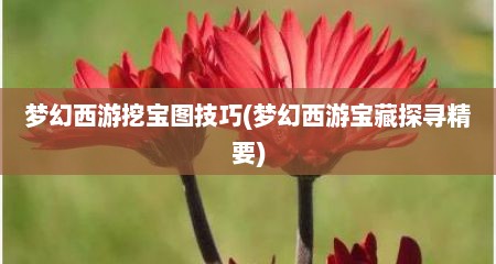 梦幻西游挖宝图技巧(梦幻西游宝藏探寻精要)