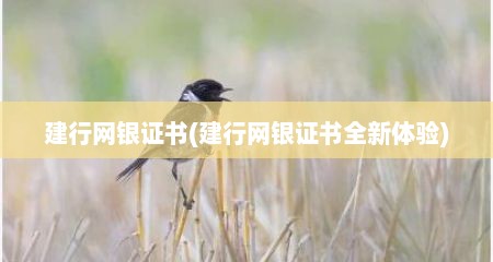 建行网银证书(建行网银证书全新体验)