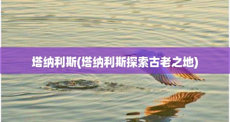 塔纳利斯(塔纳利斯探索古老之地)