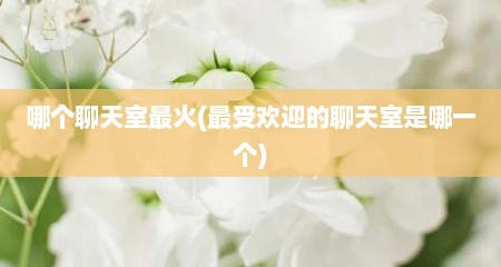 哪个聊天室最火(最受欢迎的聊天室是哪一个)