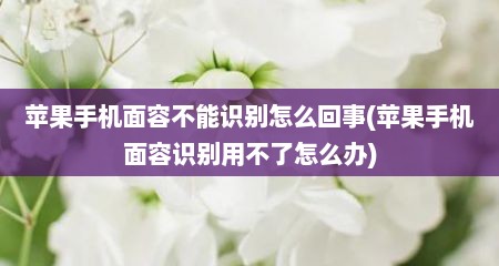 苹果手机面容不能识别怎么回事(苹果手机面容识别用不了怎么办)