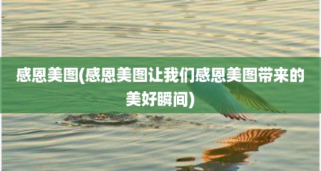 感恩美图(感恩美图让我们感恩美图带来的美好瞬间)