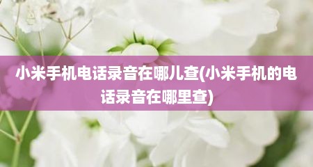 小米手机电话录音在哪儿查(小米手机的电话录音在哪里查)