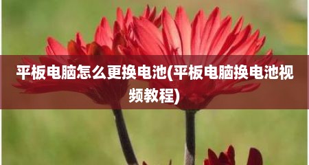 平板电脑怎么更换电池(平板电脑换电池视频教程)