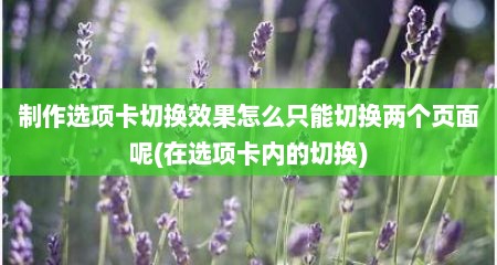 制作选项卡切换效果怎么只能切换两个页面呢(在选项卡内的切换)