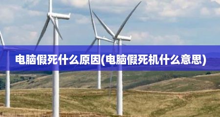 电脑假死什么原因(电脑假死机什么意思)