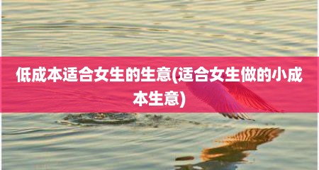 低成本适合女生的生意(适合女生做的小成本生意)