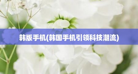 韩版手机(韩国手机引领科技潮流)