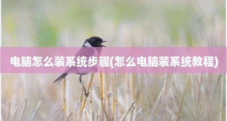 电脑怎么装系统步骤(怎么电脑装系统教程)