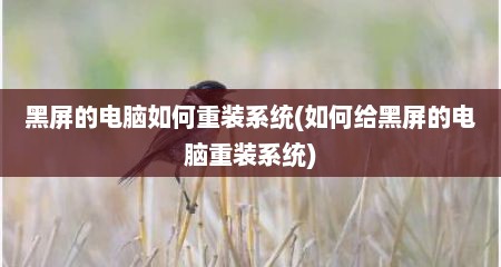 黑屏的电脑如何重装系统(如何给黑屏的电脑重装系统)