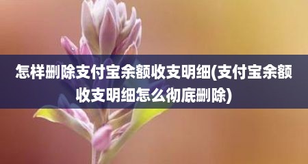 怎样删除支付宝余额收支明细(支付宝余额收支明细怎么彻底删除)