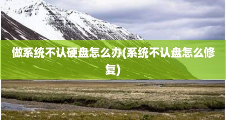 做系统不认硬盘怎么办(系统不认盘怎么修复)