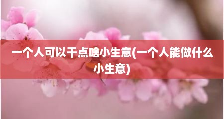 一个人可以干点啥小生意(一个人能做什么小生意)