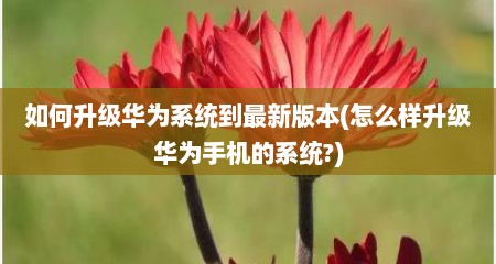 如何升级华为系统到最新版本(怎么样升级华为手机的系统?)