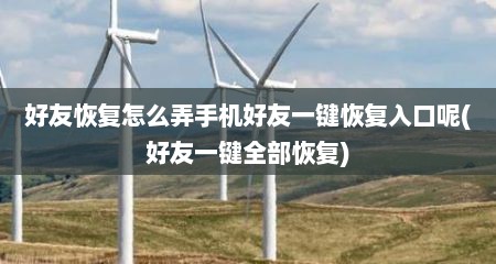 好友恢复怎么弄手机好友一键恢复入口呢(好友一键全部恢复)