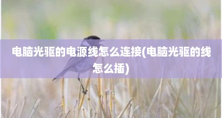 电脑光驱的电源线怎么连接(电脑光驱的线怎么插)