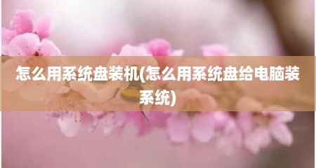 怎么用系统盘装机(怎么用系统盘给电脑装系统)