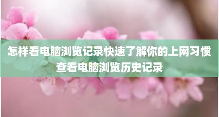 怎样看电脑浏览记录快速了解你的上网习惯查看电脑浏览历史记录