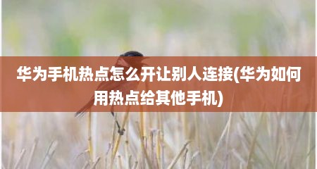 华为手机热点怎么开让别人连接(华为如何用热点给其他手机)
