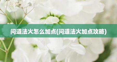 问道法火怎么加点(问道法火加点攻略)