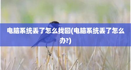 电脑系统丢了怎么找回(电脑系统丢了怎么办?)