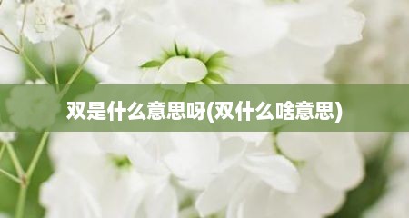 双是什么意思呀(双什么啥意思)