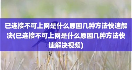 已连接不可上网是什么原因几种方法快速解决(已连接不可上网是什么原因几种方法快速解决视频)