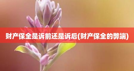 财产保全是诉前还是诉后(财产保全的弊端)