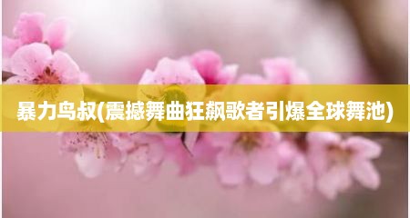 暴力鸟叔(震撼舞曲狂飙歌者引爆全球舞池)