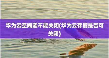 华为云空间能不能关闭(华为云存储是否可关闭)
