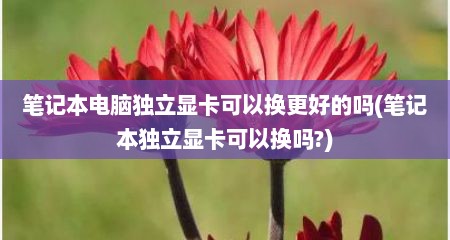 笔记本电脑独立显卡可以换更好的吗(笔记本独立显卡可以换吗?)