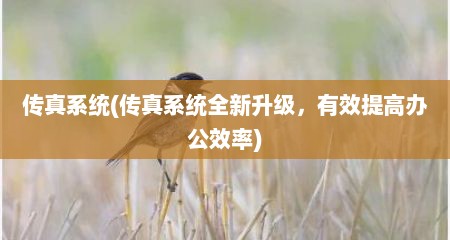 传真系统(传真系统全新升级，有效提高办公效率)