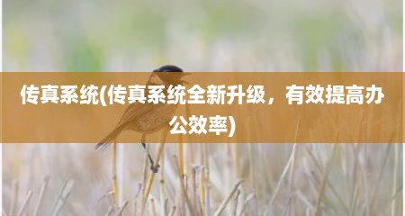 传真系统(传真系统全新升级，有效缇高办公效率)