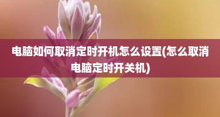 电脑如何取消定时开机怎么设置(怎么取消电脑定时开关机)