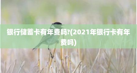 银行储蓄卡有年费吗?(2021年银行卡有年费吗)