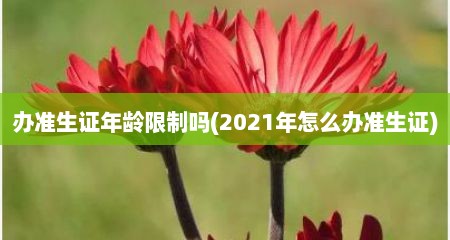 办准生证年龄限制吗(2021年怎么办准生证)