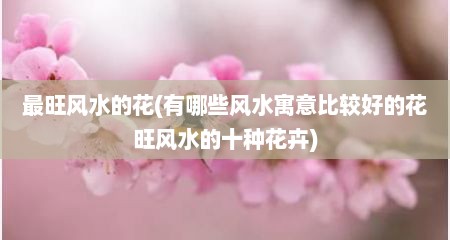最旺风水的花(有哪些风水寓意比较好的花旺风水的十种花卉)