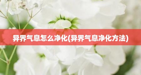 异界气息怎么净化(异界气息净化方法)